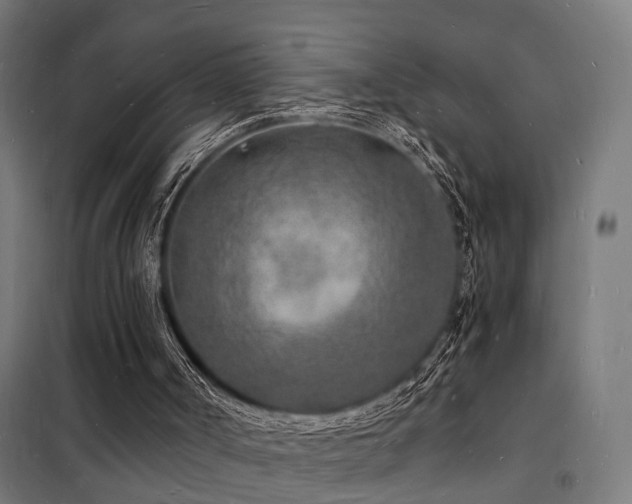 X0000102220002200807251222