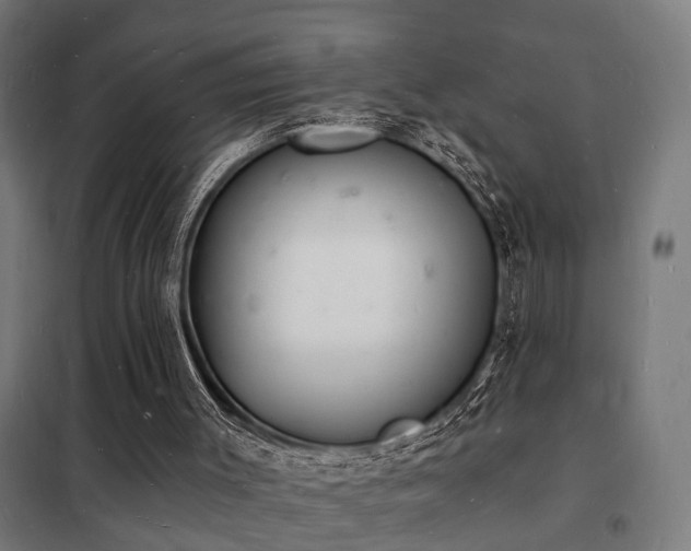 X0000102220003200807251222