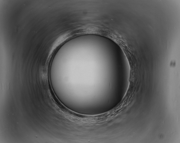 X0000102220004200807251222