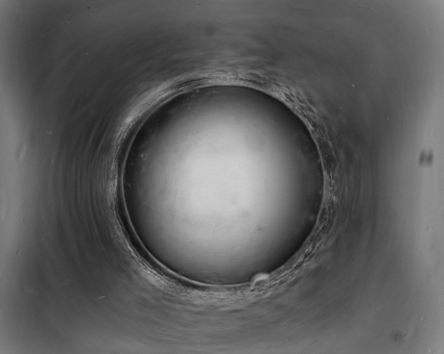 X0000102220005200807251222