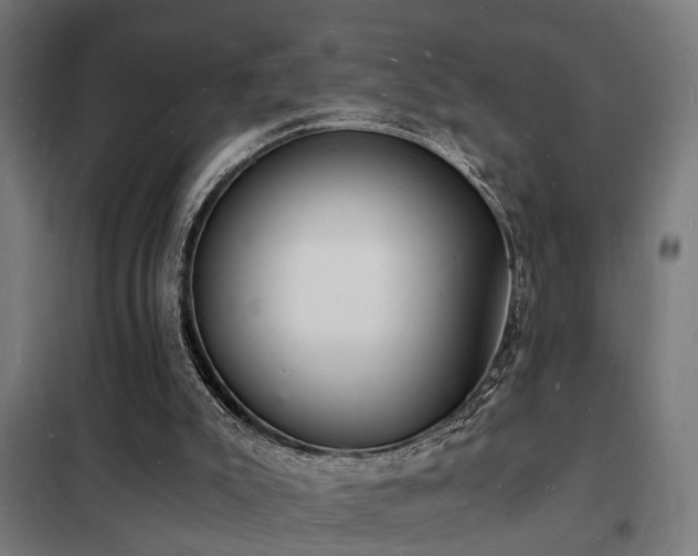 X0000102220007200807251222