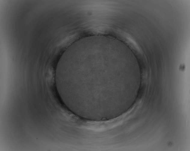 X0000102220029200807251222