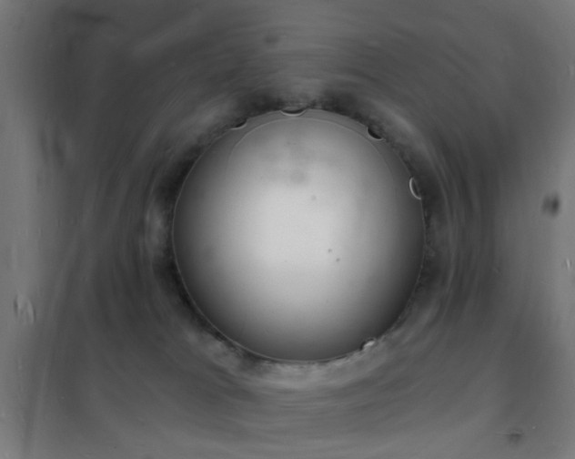 X0000102220037200807251222