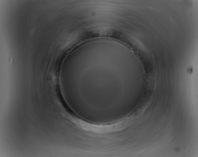 X0000102220039200807251221