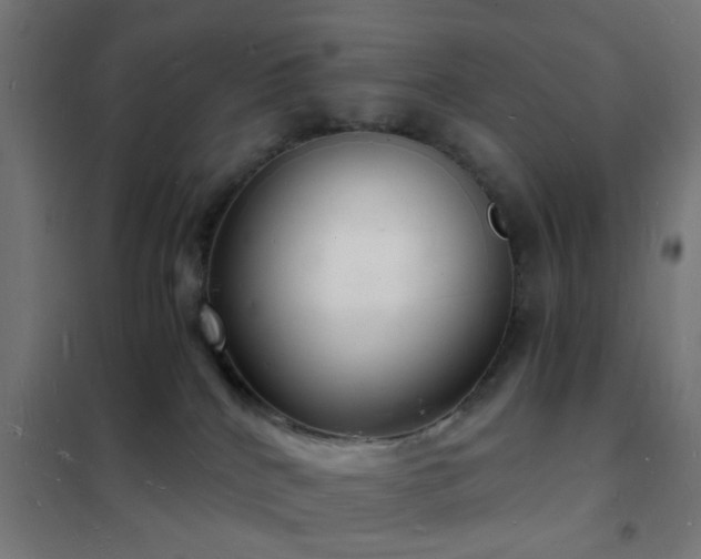 X0000102220040200807251221