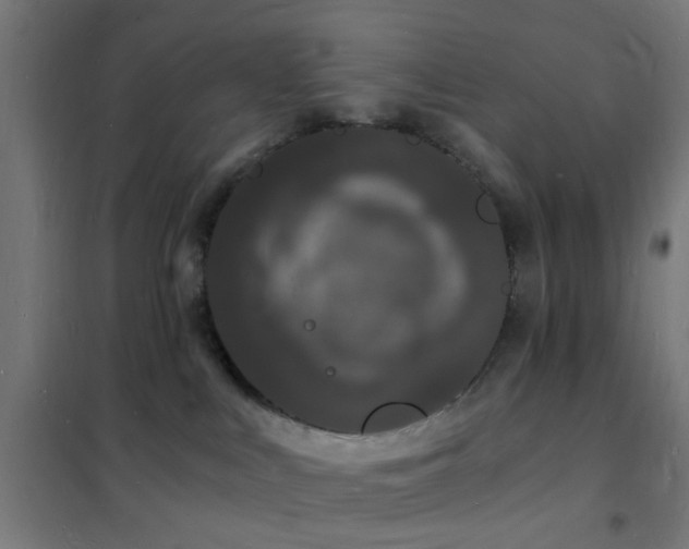 X0000102220043200807251221