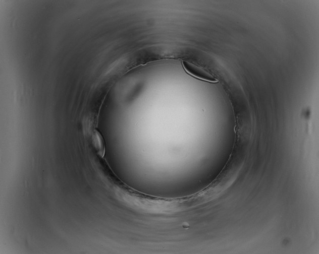 X0000102220044200807251221