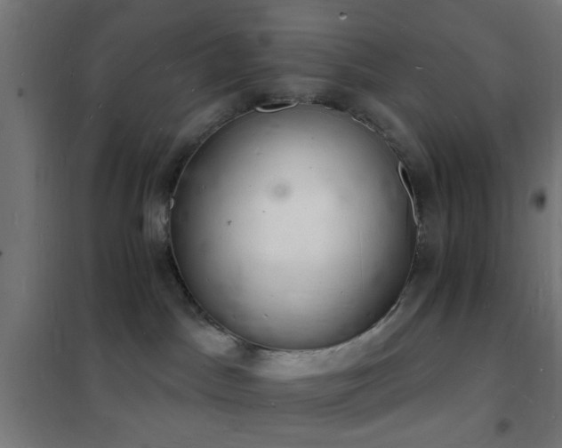 X0000102220045200807251221