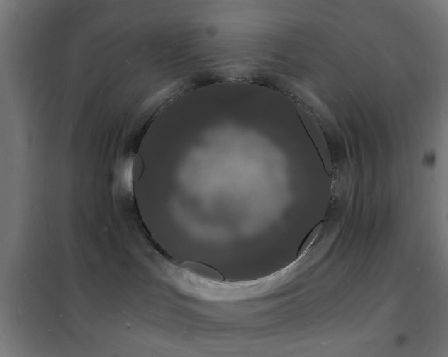 X0000102220047200807251221