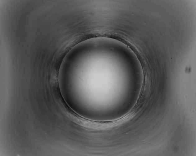 X0000102220048200807251221