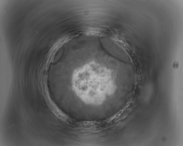 X0000102220049200807251220