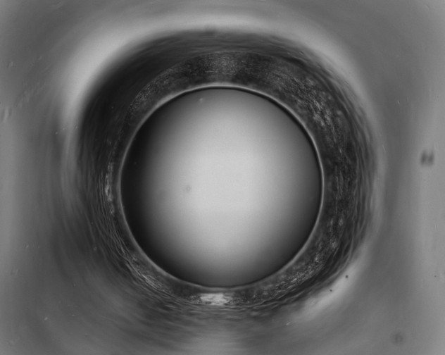 X0000102220050200807251220