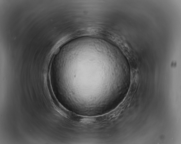 X0000102220051200807251220