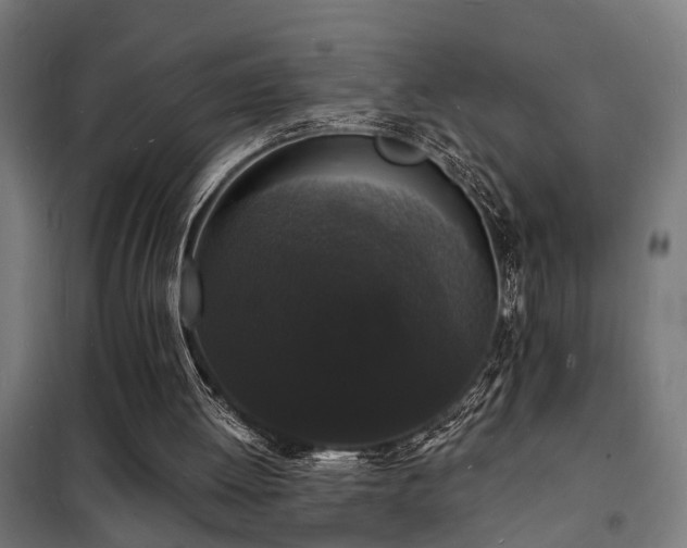 X0000102220052200807251220