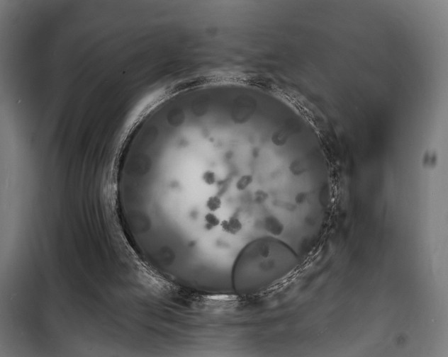 X0000102220053200807251220