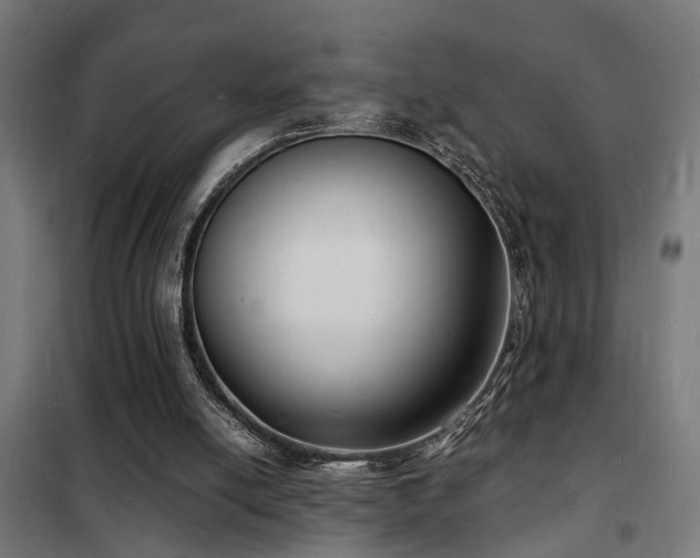 X0000102220054200807251220