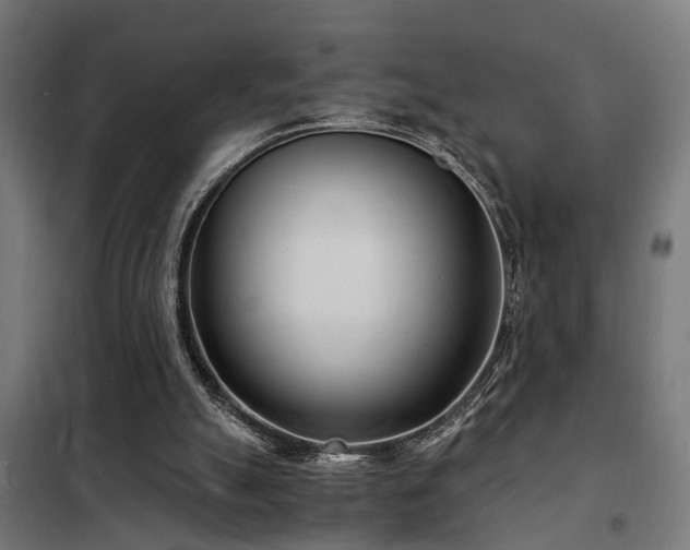 X0000102220055200807251220