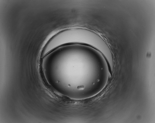 X0000102220056200807251220