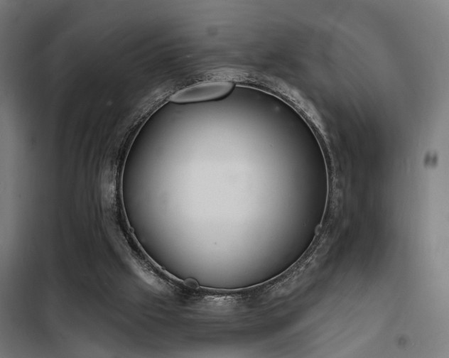 X0000102220057200807251221