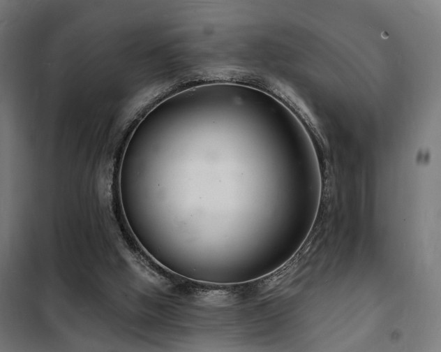 X0000102220058200807251221