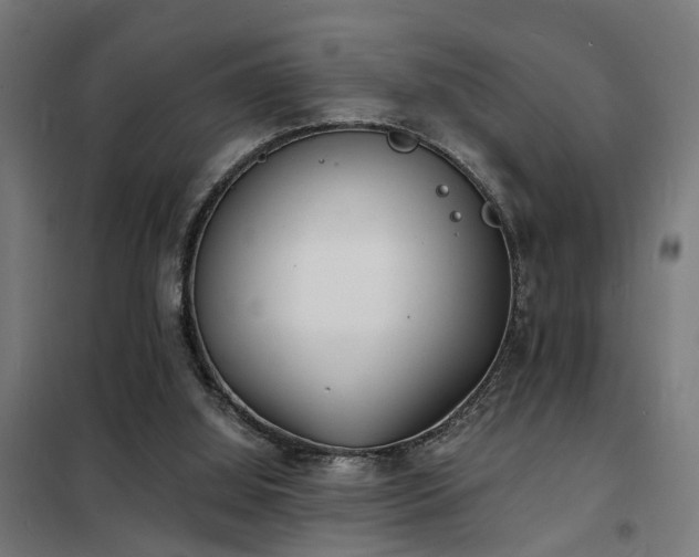 X0000102220060200807251221