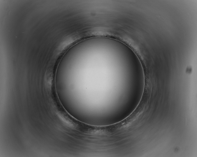 X0000102220063200807251221