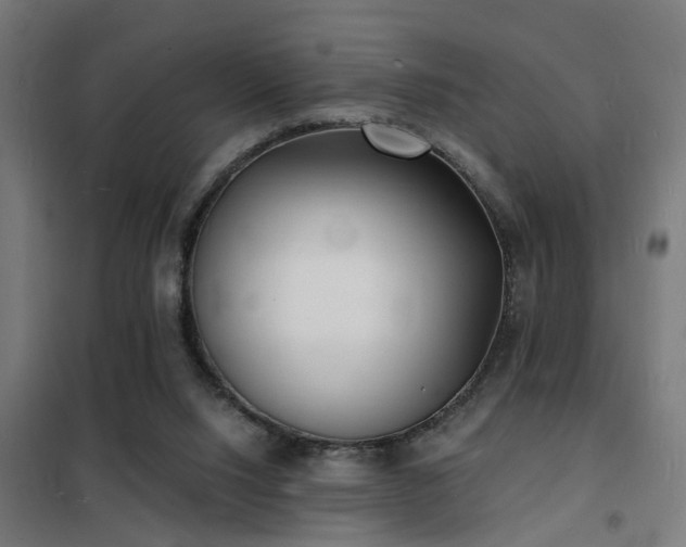 X0000102220064200807251221