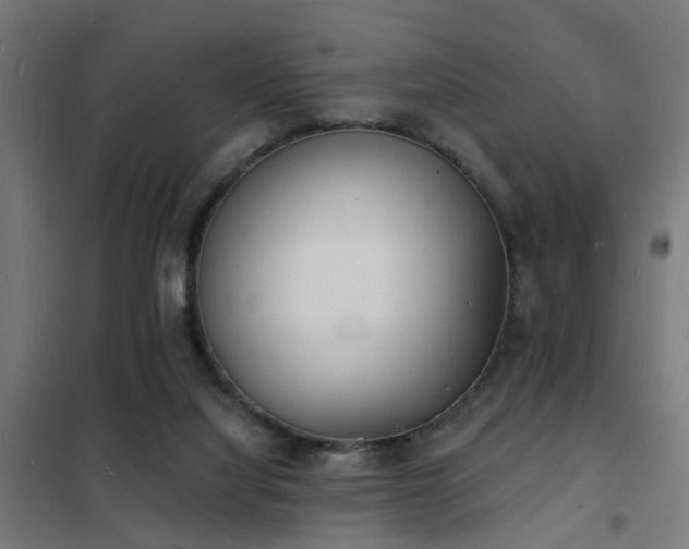 X0000102220068200807251221