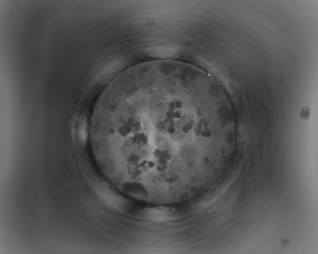 X0000102220069200807251221