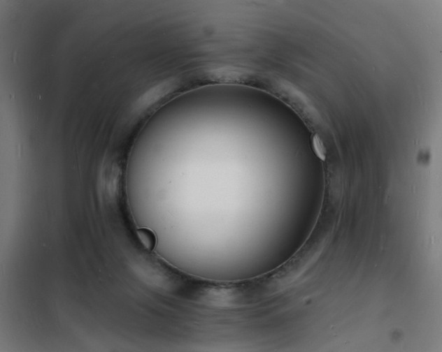 X0000102220071200807251221