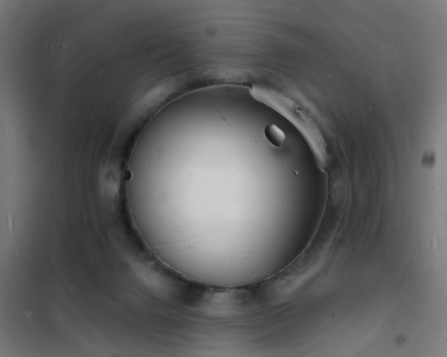 X0000102220072200807251221