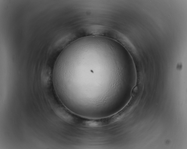 X0000102220073200807251221