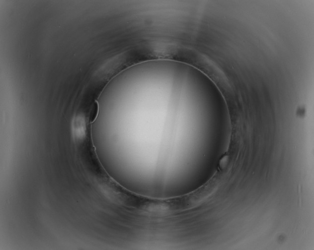 X0000102220075200807251221