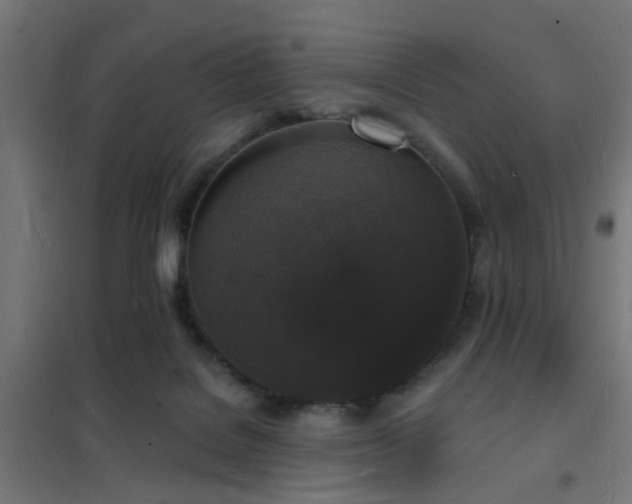 X0000102220076200807251221