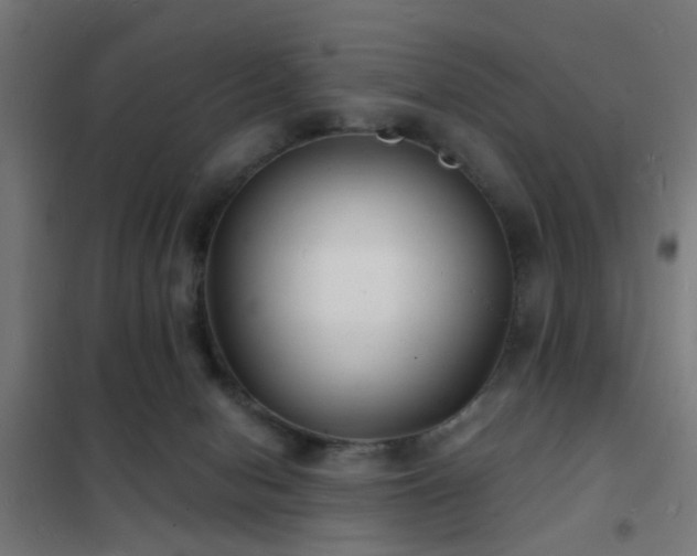 X0000102220078200807251221