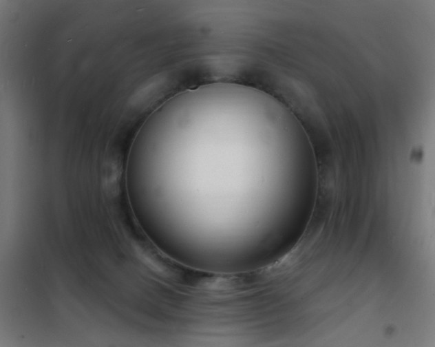 X0000102220082200807251221