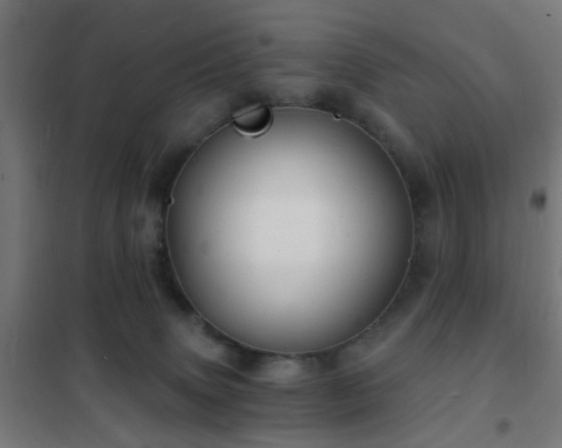 X0000102220083200807251221