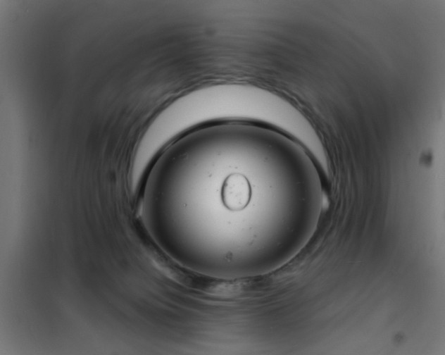 X0000102220084200807251221