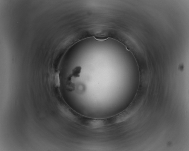 X0000102220085200807251221