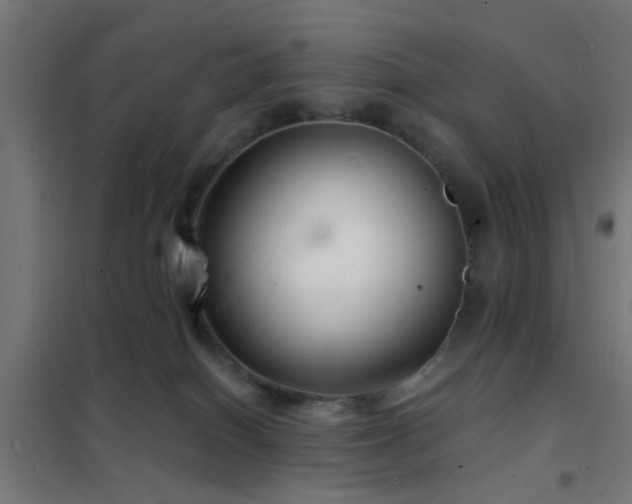 X0000102220086200807251221