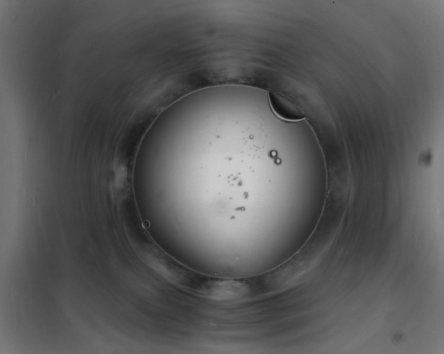 X0000102220087200807251221