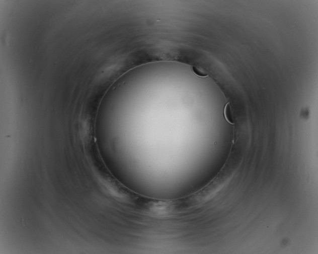 X0000102220088200807251221