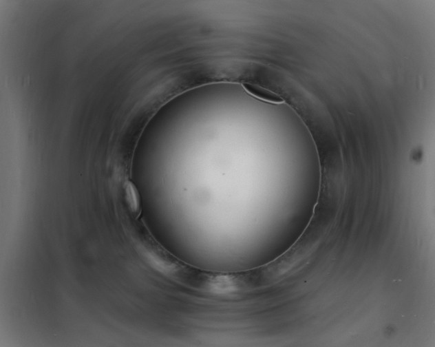 X0000102220091200807251221