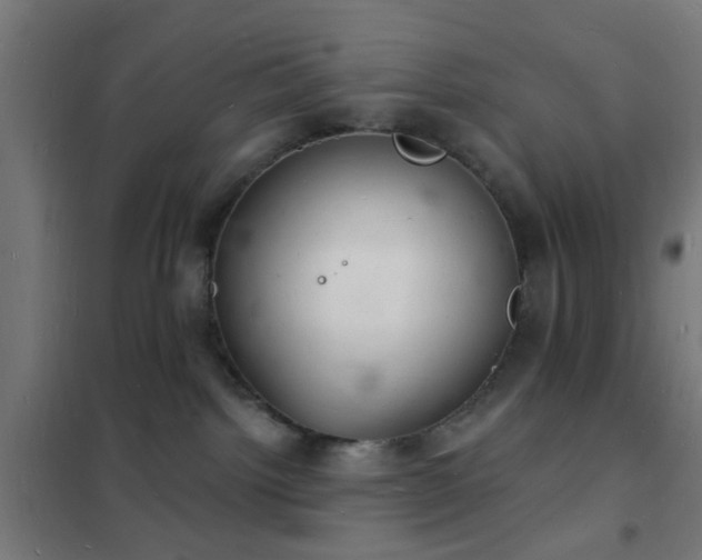 X0000102220092200807251221