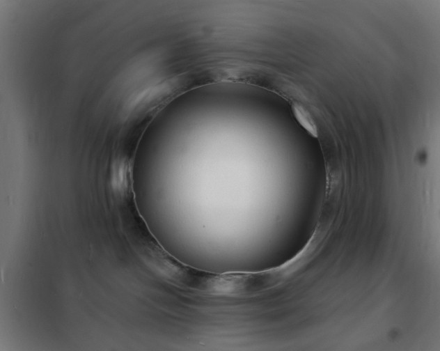 X0000102220094200807251221