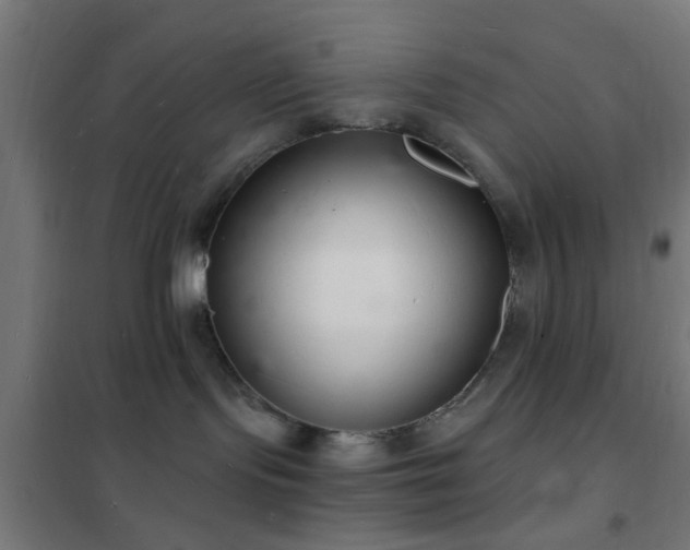 X0000102220095200807251221