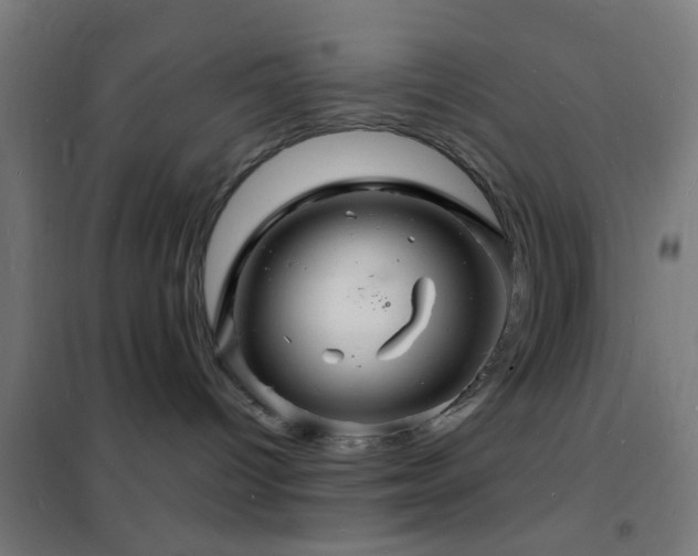 X0000102220096200807251221