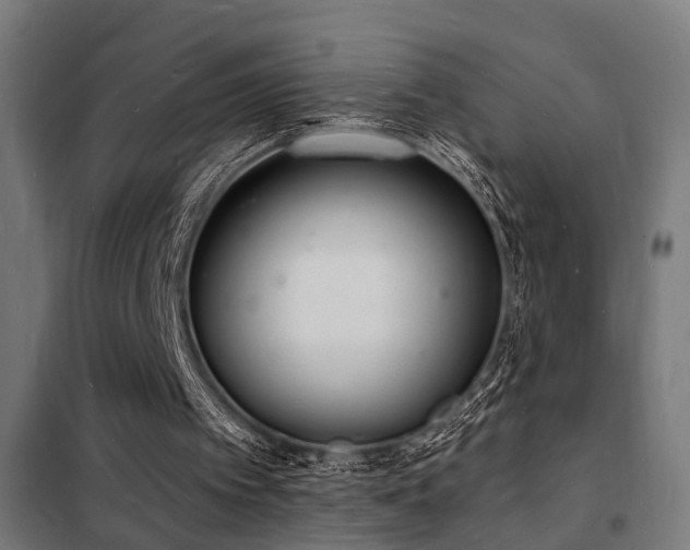 X0000102220097200807251220