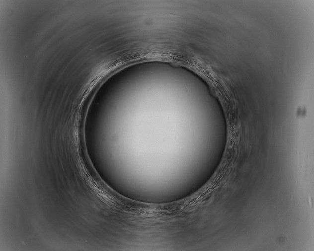 X0000102220098200807251220