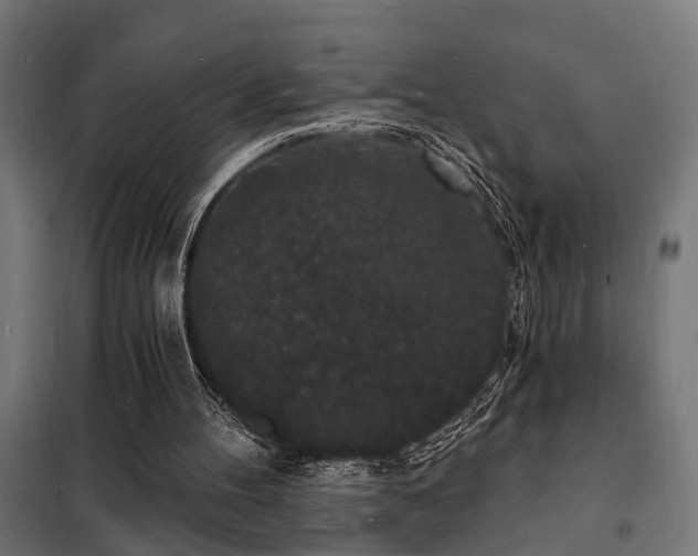 X0000102220100200807251220